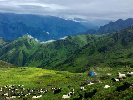 Ganesh Himal Home Stay Trekking
